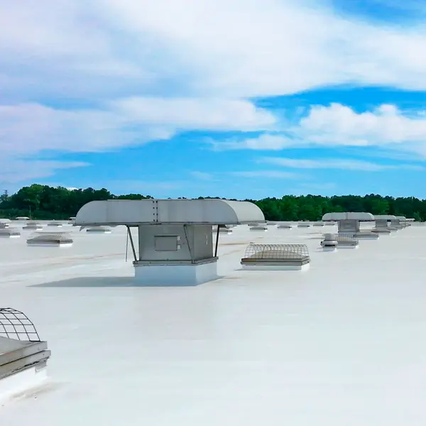 newly installed TPO roof